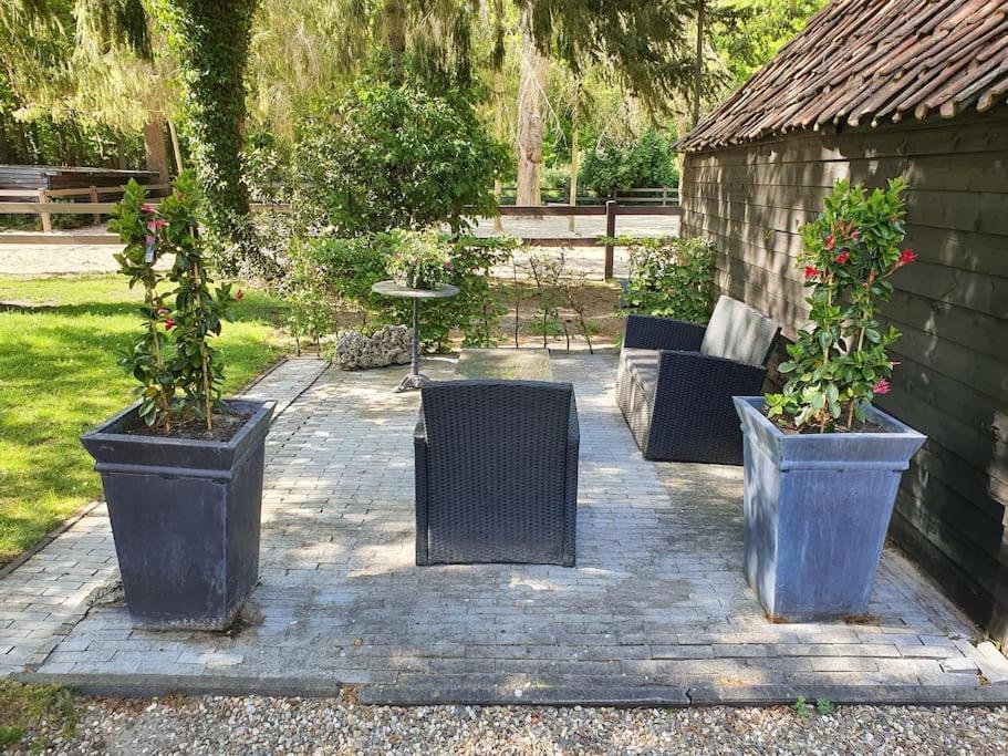 Midden In De Friese Bossen Op Landgoed Princenhof 오라녜우트 외부 사진