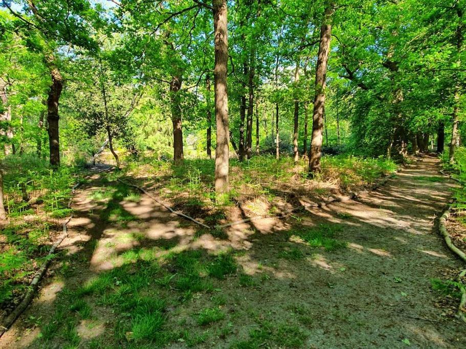Midden In De Friese Bossen Op Landgoed Princenhof 오라녜우트 외부 사진