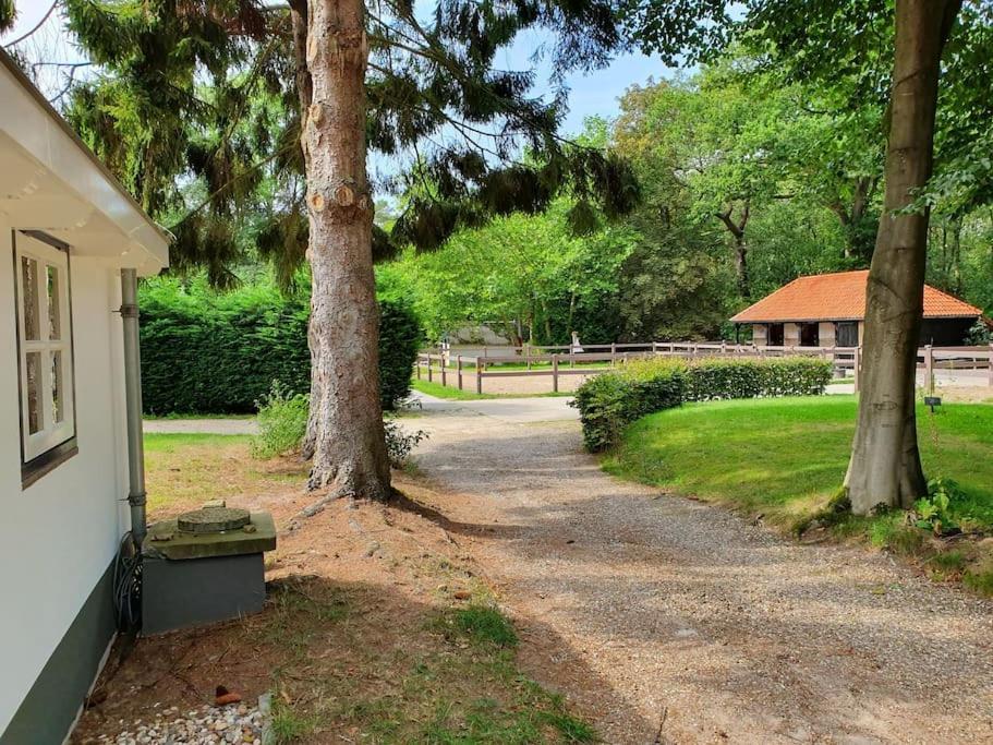 Midden In De Friese Bossen Op Landgoed Princenhof 오라녜우트 외부 사진