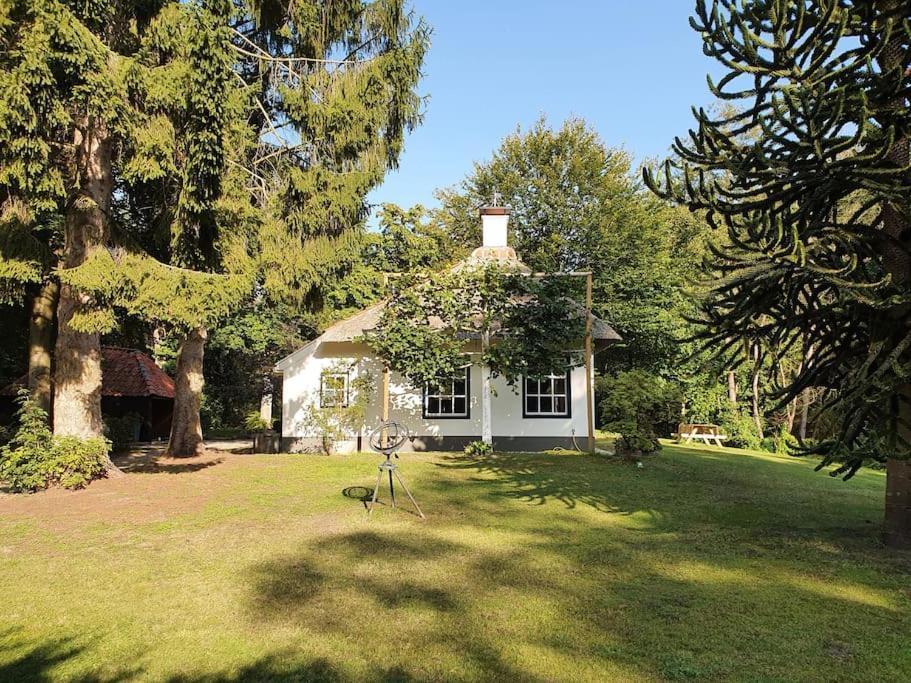 Midden In De Friese Bossen Op Landgoed Princenhof 오라녜우트 외부 사진