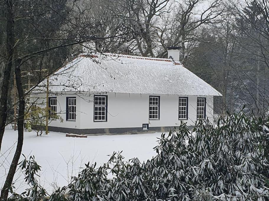 Midden In De Friese Bossen Op Landgoed Princenhof 오라녜우트 외부 사진