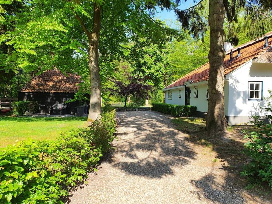 Midden In De Friese Bossen Op Landgoed Princenhof 오라녜우트 외부 사진