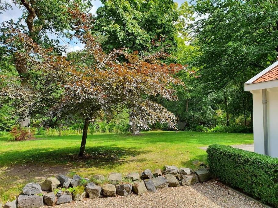 Midden In De Friese Bossen Op Landgoed Princenhof 오라녜우트 외부 사진