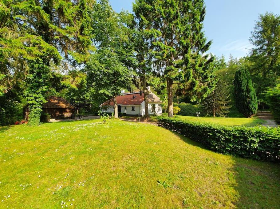 Midden In De Friese Bossen Op Landgoed Princenhof 오라녜우트 외부 사진